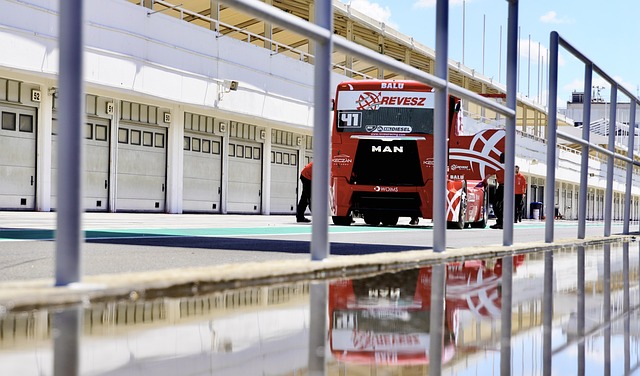 玩跨界，德尔-皮耶罗和马尔基西奥将为意语版疯狂动物城2配音