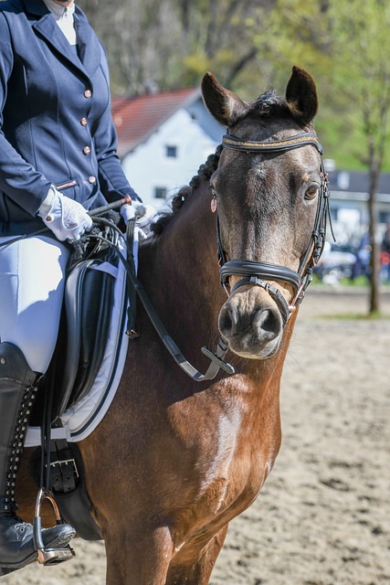 花有重开日，人无再少年内马尔